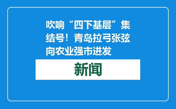 吹响“四下基层”集结号！青岛拉弓张弦向农业强市进发