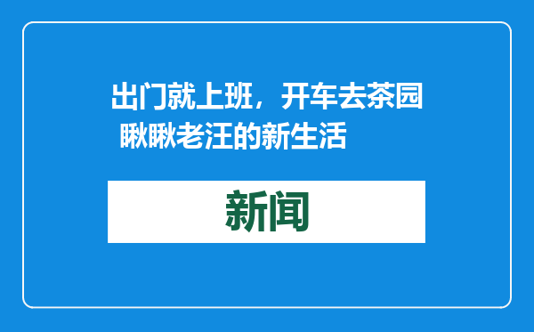 出门就上班，开车去茶园 瞅瞅老汪的新生活