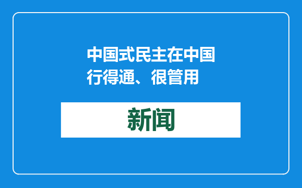 中国式民主在中国行得通、很管用