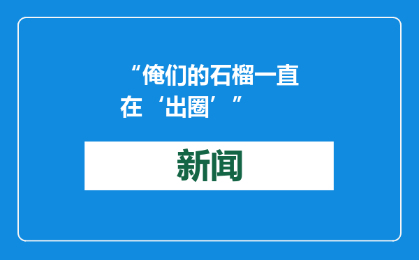 “俺们的石榴一直在‘出圈’”