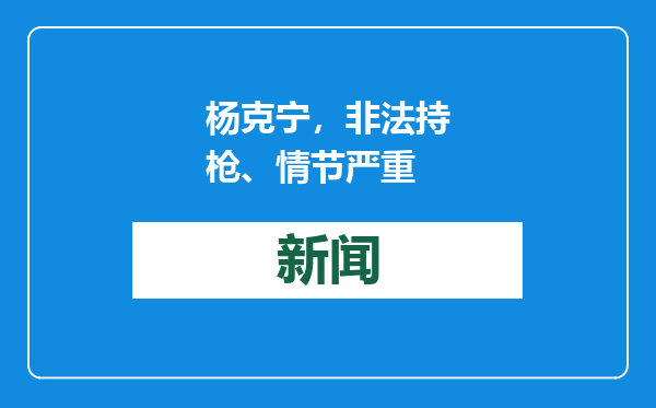 杨克宁，非法持枪、情节严重