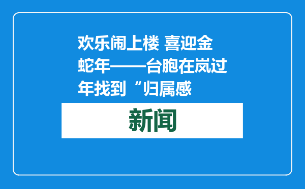 欢乐闹上楼 喜迎金蛇年——台胞在岚过年找到“归属感