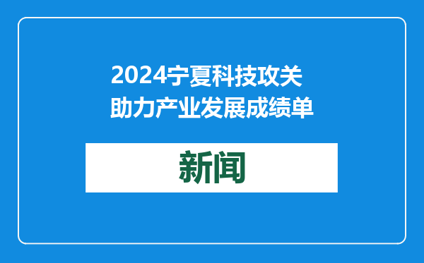 2024宁夏科技攻关助力产业发展成绩单