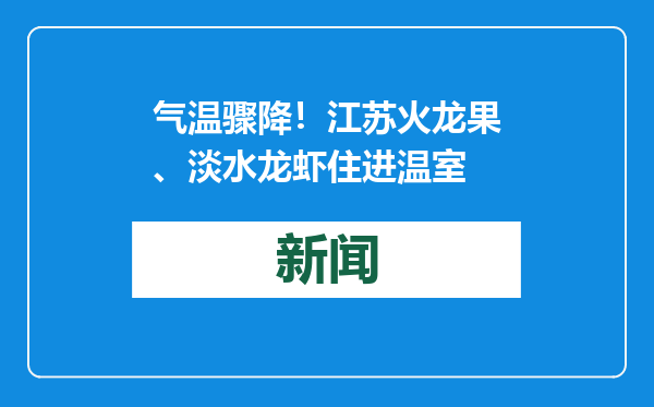 气温骤降！江苏火龙果、淡水龙虾住进温室