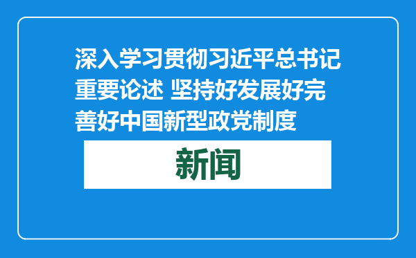 深入学习贯彻习近平总书记重要论述 坚持好发展好完善好中国新型政党制度
