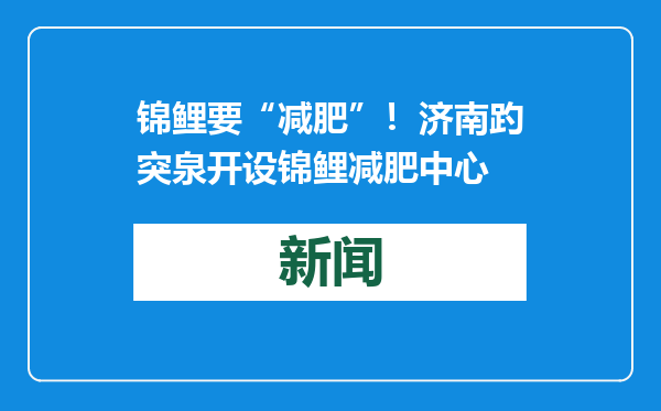 锦鲤要“减肥”！济南趵突泉开设锦鲤减肥中心