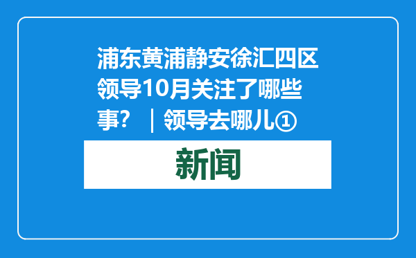 浦东黄浦静安徐汇四区领导10月关注了哪些事？｜领导去哪儿①