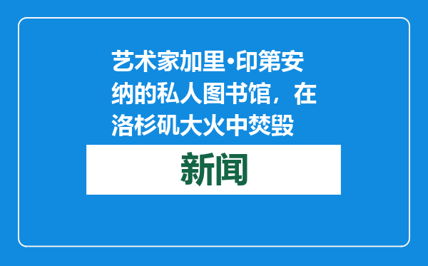 艺术家加里·印第安纳的私人图书馆，在洛杉矶大火中焚毁