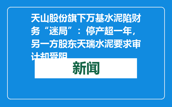天山股份旗下万基水泥陷财务“迷局”：停产超一年，另一方股东天瑞水泥要求审计却受阻