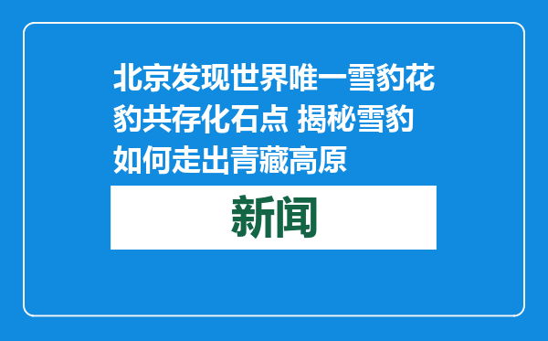 北京发现世界唯一雪豹花豹共存化石点 揭秘雪豹如何走出青藏高原