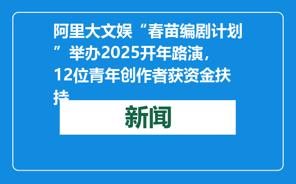 阿里大文娱“春苗编剧计划”举办2025开年路演，12位青年创作者获资金扶持