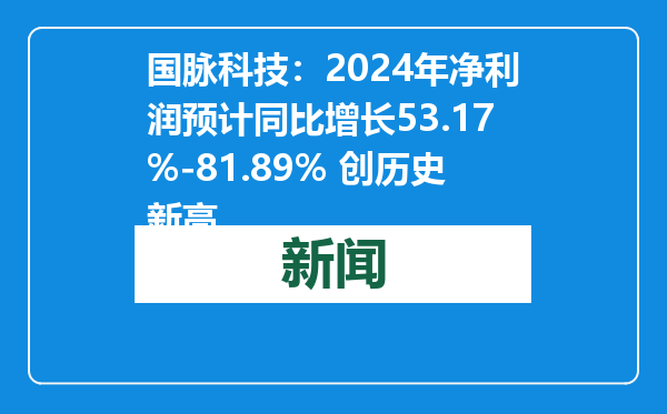 国脉科技：2024年净利润预计同比增长53.17%-81.89% 创历史新高