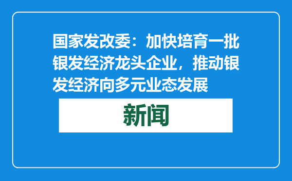 国家发改委：加快培育一批银发经济龙头企业，推动银发经济向多元业态发展
