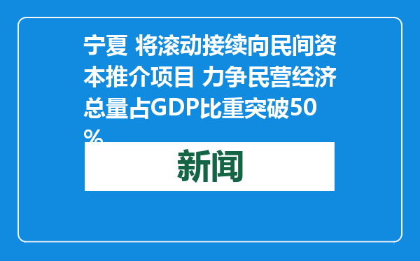 宁夏 将滚动接续向民间资本推介项目 力争民营经济总量占GDP比重突破50%