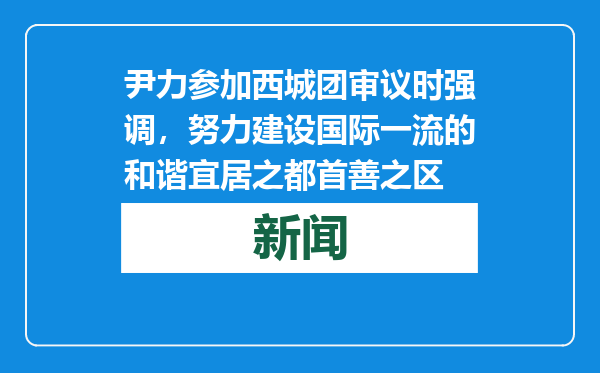 尹力参加西城团审议时强调，努力建设国际一流的和谐宜居之都首善之区