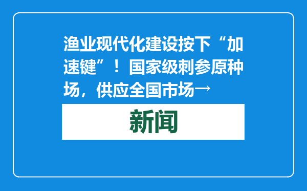 渔业现代化建设按下“加速键”！国家级刺参原种场，供应全国市场→