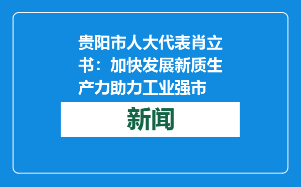 贵阳市人大代表肖立书：加快发展新质生产力助力工业强市
