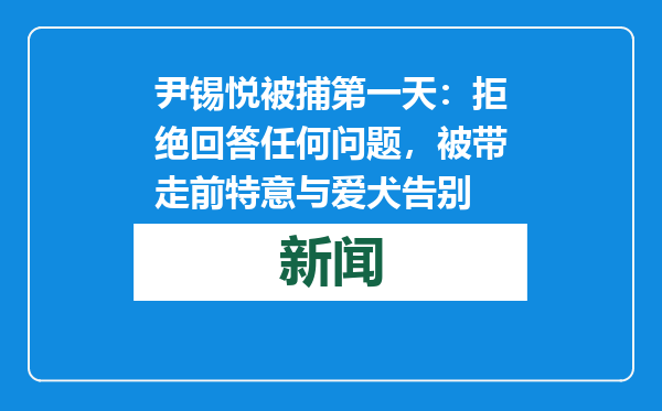 尹锡悦被捕第一天：拒绝回答任何问题，被带走前特意与爱犬告别