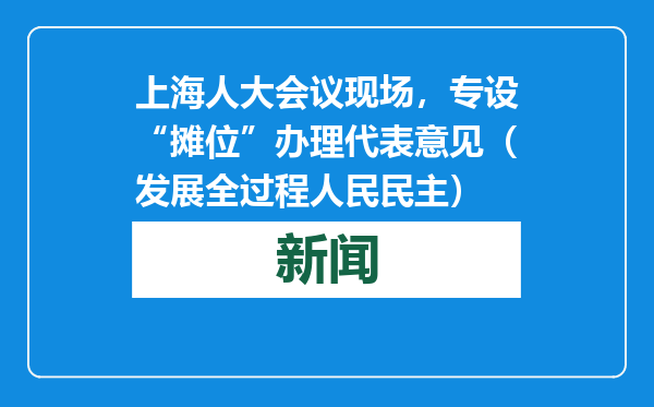 上海人大会议现场，专设“摊位”办理代表意见（发展全过程人民民主）