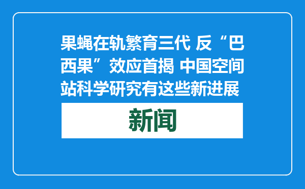 果蝇在轨繁育三代 反“巴西果”效应首揭 中国空间站科学研究有这些新进展