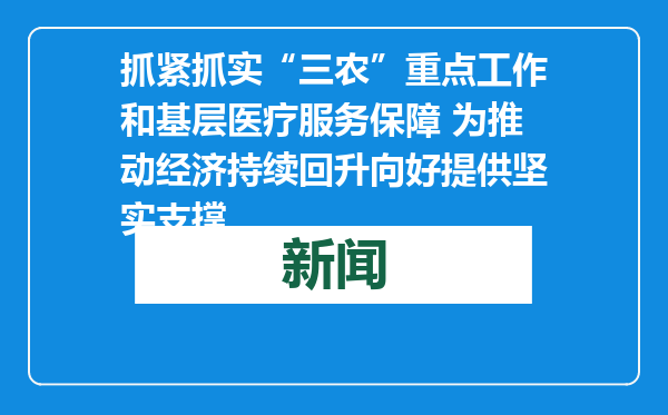 抓紧抓实“三农”重点工作和基层医疗服务保障 为推动经济持续回升向好提供坚实支撑