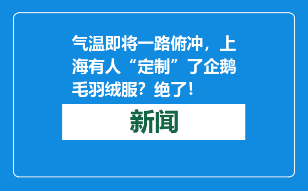 气温即将一路俯冲，上海有人“定制”了企鹅毛羽绒服？绝了！