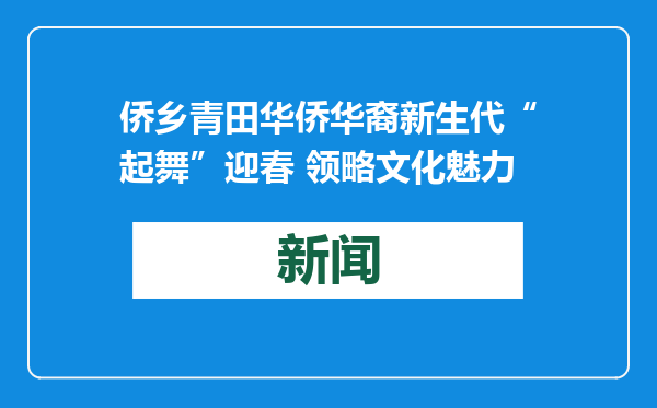 侨乡青田华侨华裔新生代“起舞”迎春 领略文化魅力