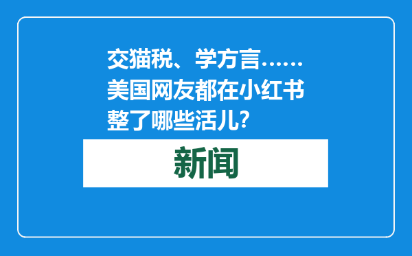 交猫税、学方言……美国网友都在小红书整了哪些活儿？
