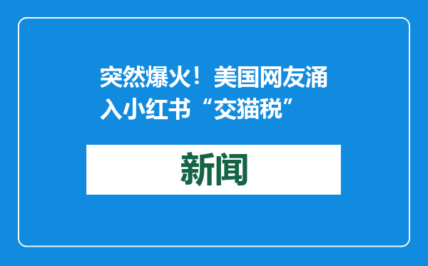 突然爆火！美国网友涌入小红书“交猫税”