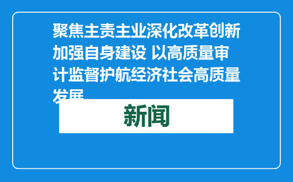 聚焦主责主业深化改革创新加强自身建设 以高质量审计监督护航经济社会高质量发展