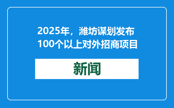 2025年，潍坊谋划发布100个以上对外招商项目