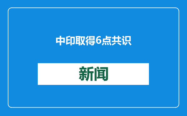 中印取得6点共识
