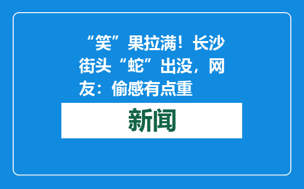 “笑”果拉满！长沙街头“蛇”出没，网友：偷感有点重