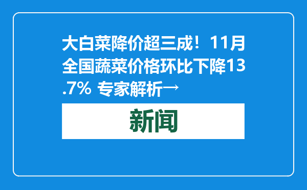 大白菜降价超三成！11月全国蔬菜价格环比下降13.7% 专家解析→