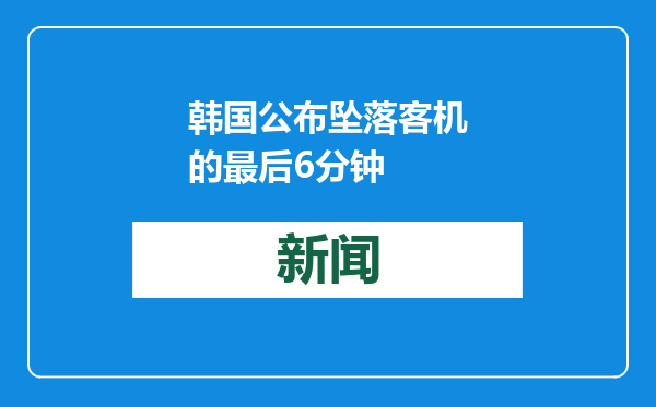 韩国公布坠落客机的最后6分钟