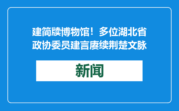 建简牍博物馆！多位湖北省政协委员建言赓续荆楚文脉