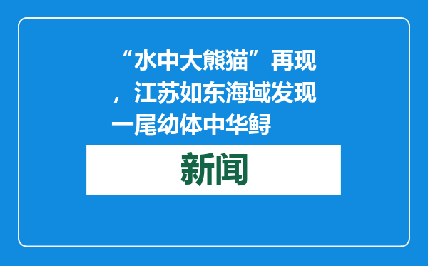 “水中大熊猫”再现，江苏如东海域发现一尾幼体中华鲟