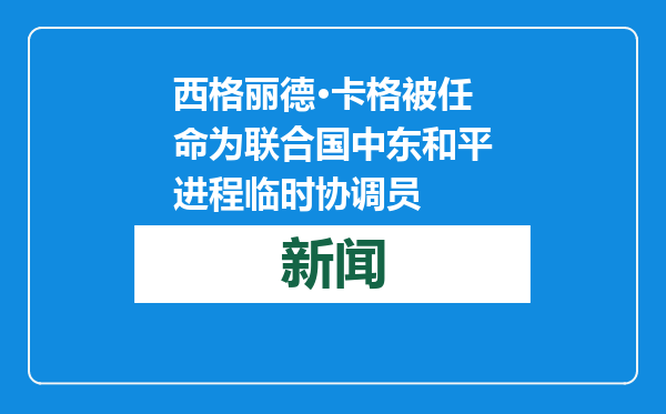 西格丽德·卡格被任命为联合国中东和平进程临时协调员