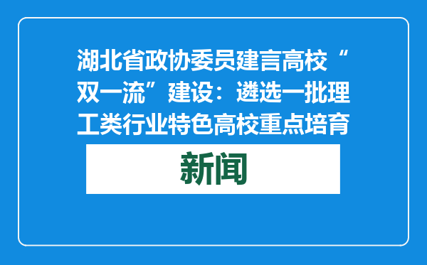 湖北省政协委员建言高校“双一流”建设：遴选一批理工类行业特色高校重点培育