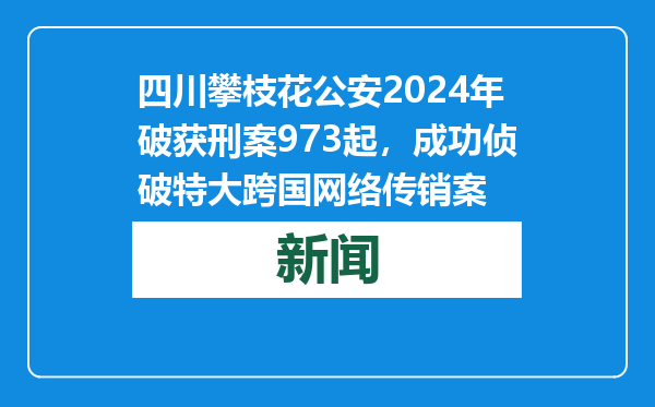 四川攀枝花公安2024年破获刑案973起，成功侦破特大跨国网络传销案