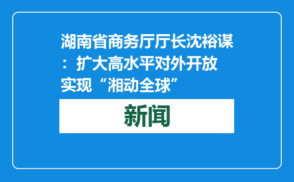 湖南省商务厅厅长沈裕谋：扩大高水平对外开放 实现“湘动全球”