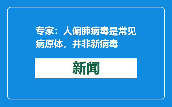 专家：人偏肺病毒是常见病原体，并非新病毒