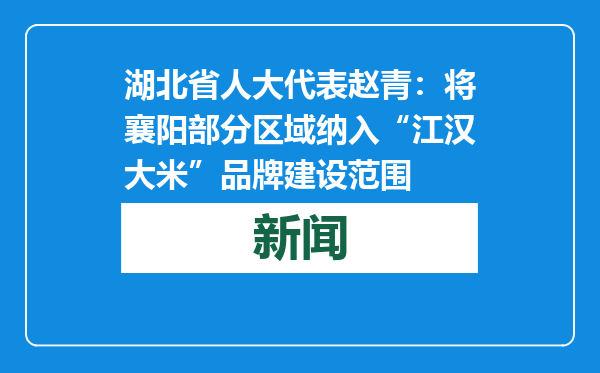 湖北省人大代表赵青：将襄阳部分区域纳入“江汉大米”品牌建设范围