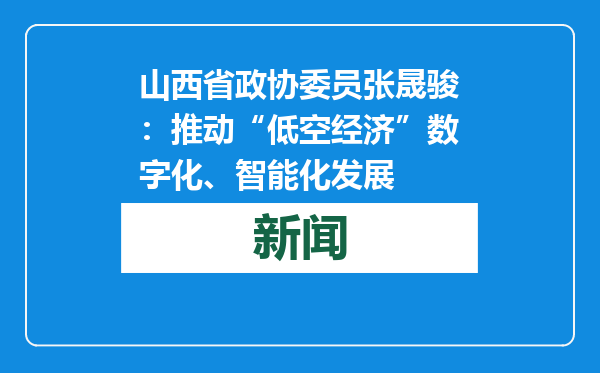 山西省政协委员张晟骏：推动“低空经济”数字化、智能化发展