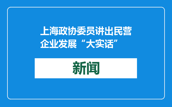 上海政协委员讲出民营企业发展“大实话”