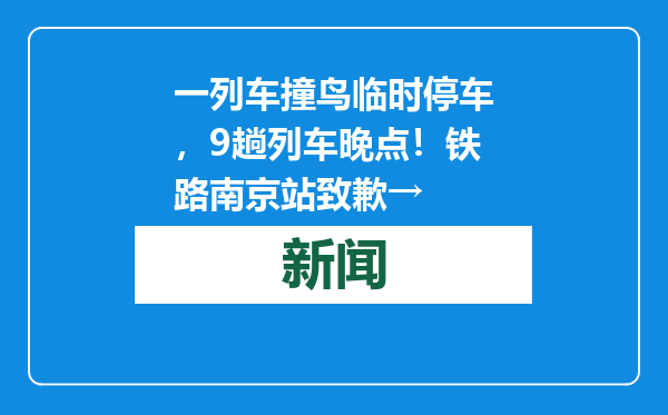 一列车撞鸟临时停车，9趟列车晚点！铁路南京站致歉→