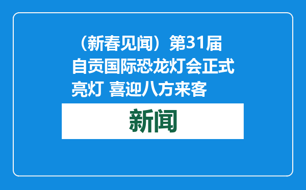 （新春见闻）第31届自贡国际恐龙灯会正式亮灯 喜迎八方来客