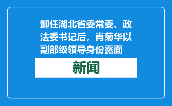 卸任湖北省委常委、政法委书记后，肖菊华以副部级领导身份露面