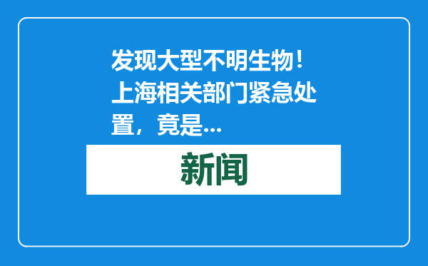 发现大型不明生物！上海相关部门紧急处置，竟是...
