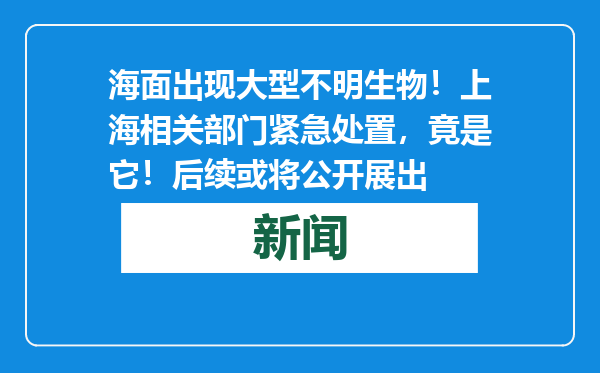 海面出现大型不明生物！上海相关部门紧急处置，竟是它！后续或将公开展出